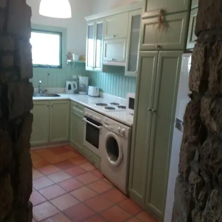 Absolute Apartment